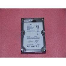 PC LV HDD SATA2 1TB ST31000340AS 32M